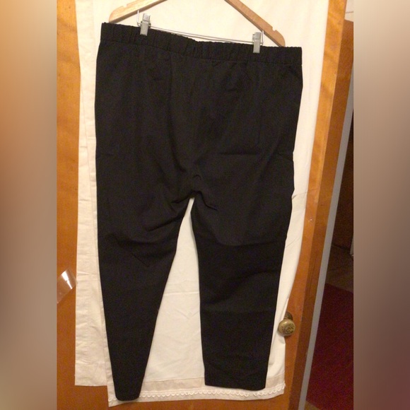 EILEEN FISHER  pants Sz 1X New Other - Picture 5 of 10